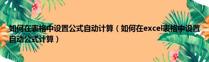 如何在表格中设置公式自动计算（如何在excel表格中设置自动公式计算）