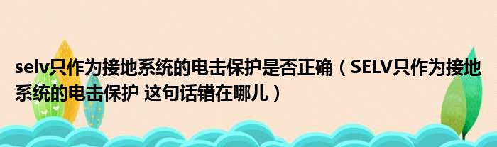 selv只作为接地系统的电击保护是否正确（SELV只作为接地系统的电击保护 这句话错在哪儿）