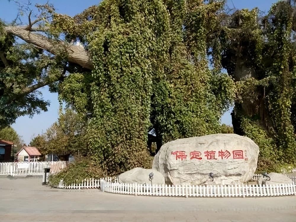 保定周边有什么好玩的地方旅游景点五一（保定旅游景点有哪些地方介绍）(图5)