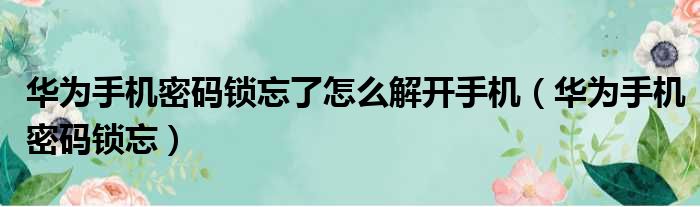 华为手机密码锁忘了怎么解开手机（华为手机密码锁忘）