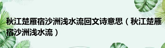 秋江楚雁宿沙洲浅水流回文诗意思（秋江楚雁宿沙洲浅水流）