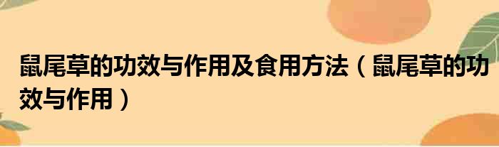 鼠尾草的功效与作用及食用方法（鼠尾草的功效与作用）