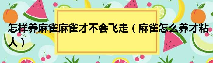 怎样养麻雀麻雀才不会飞走（麻雀怎么养才粘人）