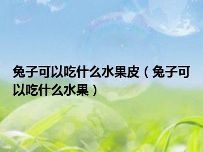 兔子可以吃什么水果皮（兔子可以吃什么水果）