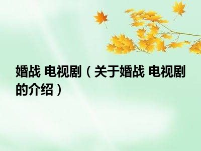 婚战 电视剧（关于婚战 电视剧的介绍）