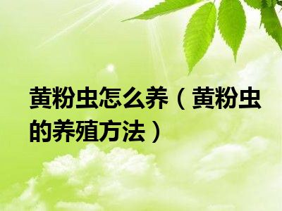 黄粉虫怎么养（黄粉虫的养殖方法）