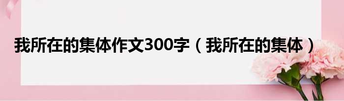 我所在的集体作文300字（我所在的集体）