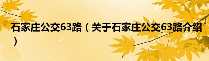  石家庄公交63路（关于石家庄公交63路介绍）