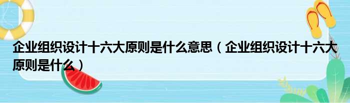 企业组织设计十六大原则是什么意思（企业组织设计十六大原则是什么）