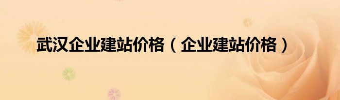 武汉企业建站价格（企业建站价格）