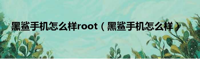 黑鲨手机怎么样root（黑鲨手机怎么样）