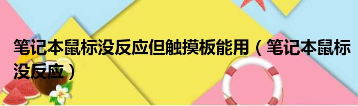 笔记本鼠标没反应但触摸板能用（笔记本鼠标没反应）