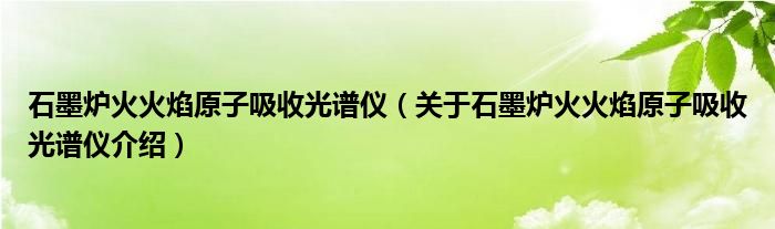  石墨炉火火焰原子吸收光谱仪（关于石墨炉火火焰原子吸收光谱仪介绍）