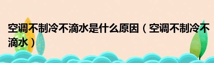 空调不制冷不滴水是什么原因（空调不制冷不滴水）