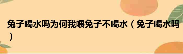 兔子喝水吗为何我喂兔子不喝水（兔子喝水吗）