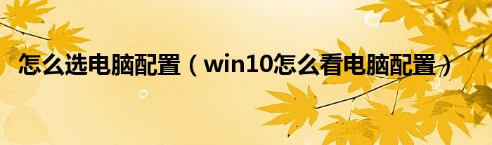 怎么选电脑配置（win10怎么看电脑配置）