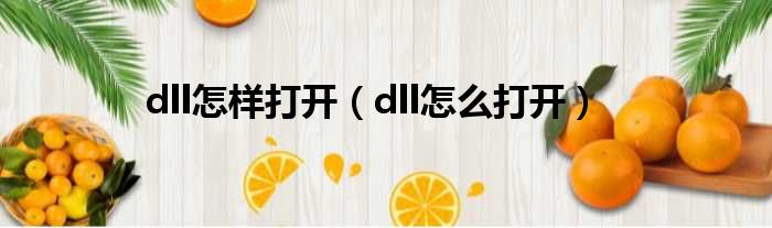 dll怎样打开（dll怎么打开）