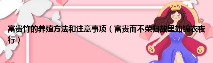 富贵竹的养殖方法和注意事项（富贵而不荣归故里如锦衣夜行）