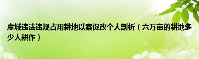 虞城违法违规占用耕地以案促改个人剖析（六万亩的耕地多少人耕作）