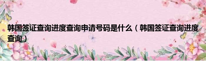 韩国签证查询进度查询申请号码是什么（韩国签证查询进度查询）