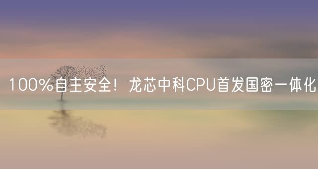 100％自主安全！龙芯中科CPU首发国密一体化