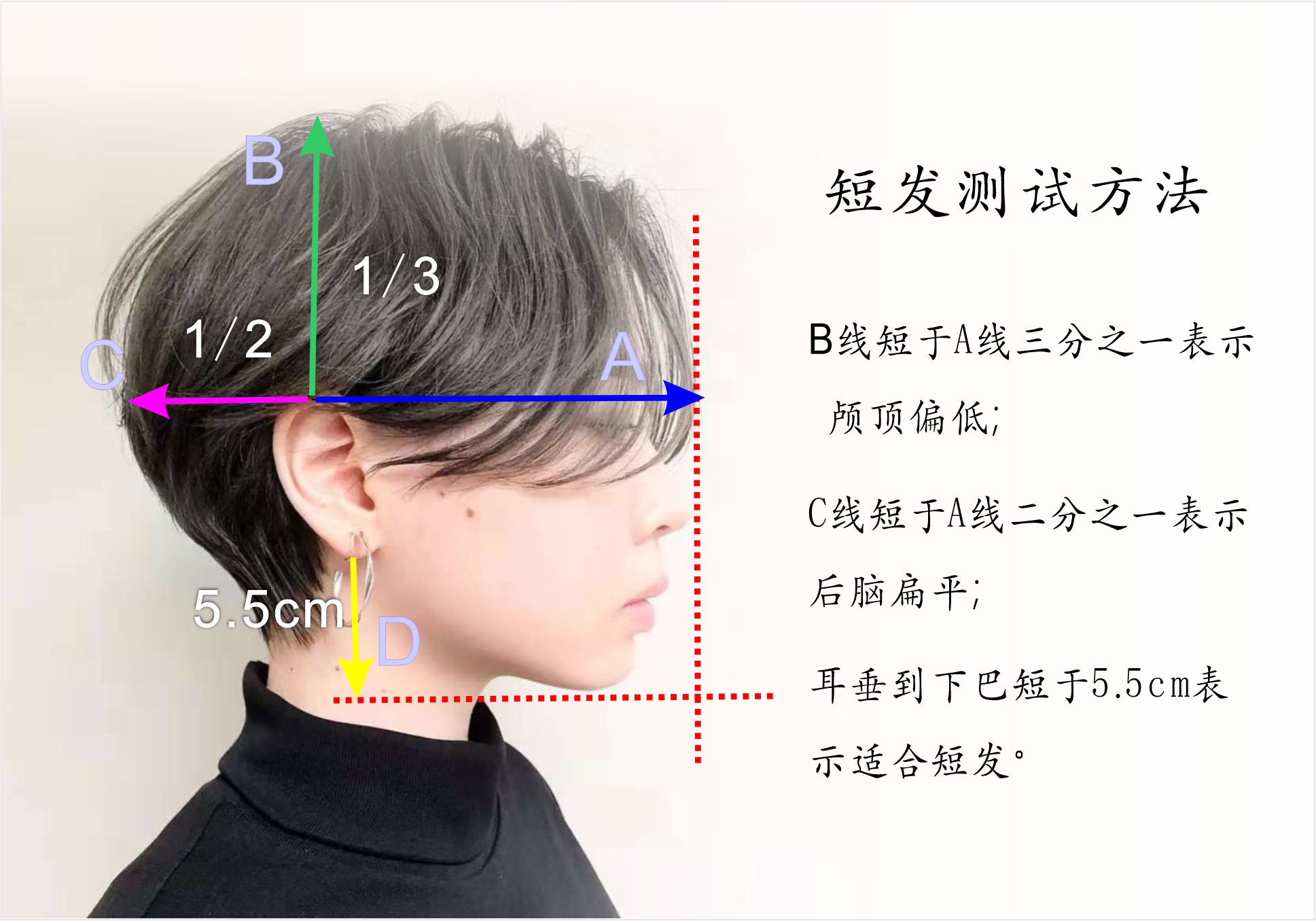 如何测试自己的脸型适合什么发型（怎样知道自己适合什么发型）(图6)