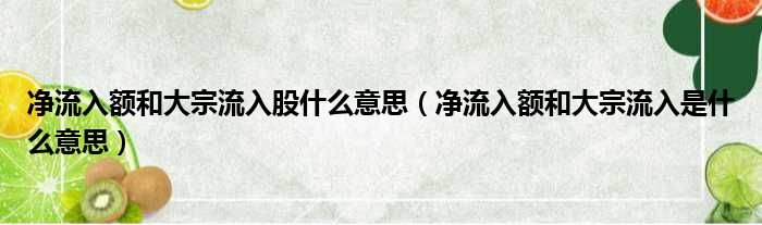 净流入额和大宗流入股什么意思（净流入额和大宗流入是什么意思）