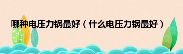 哪种电压力锅最好（什么电压力锅最好）