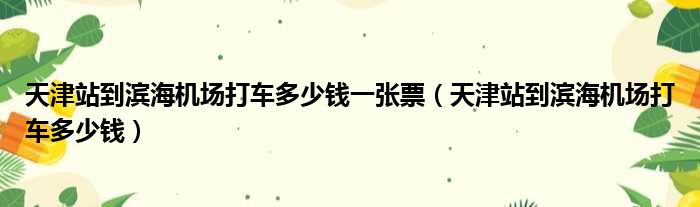 天津站到滨海机场打车多少钱一张票（天津站到滨海机场打车多少钱）