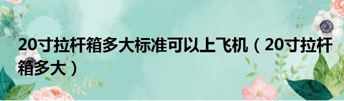 20寸拉杆箱多大标准可以上飞机（20寸拉杆箱多大）