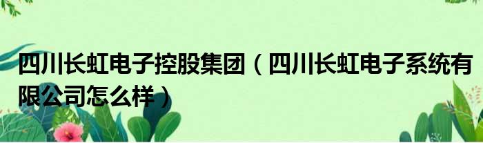 四川长虹电子控股集团（四川长虹电子系统有限公司怎么样）