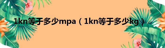 1kn等于多少mpa（1kn等于多少kg）