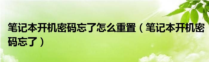 笔记本开机密码忘了怎么重置（笔记本开机密码忘了）