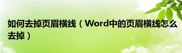 如何去掉页眉横线（Word中的页眉横线怎么去掉）