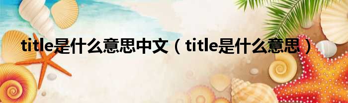 title是什么意思中文（title是什么意思）