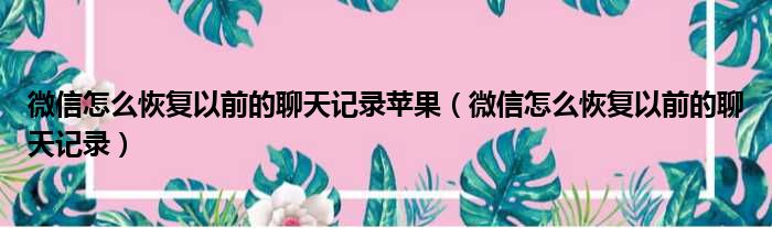 微信怎么恢复以前的聊天记录苹果（微信怎么恢复以前的聊天记录）