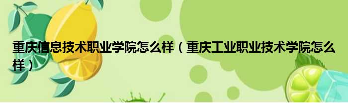 重庆信息技术职业学院怎么样（重庆工业职业技术学院怎么样）