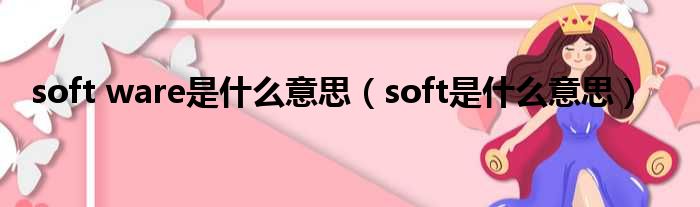 soft ware是什么意思（soft是什么意思）