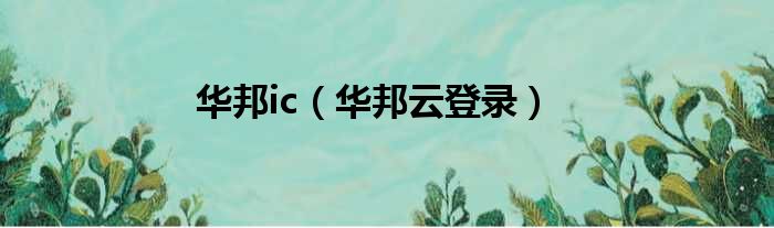 华邦ic（华邦云登录）