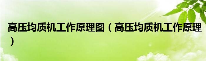 高压均质机工作原理图（高压均质机工作原理）