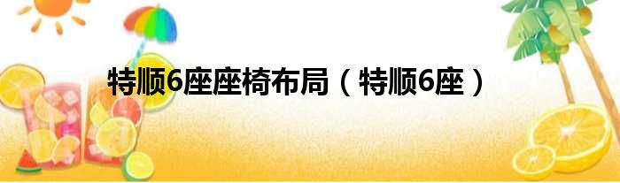 特顺6座座椅布局（特顺6座）