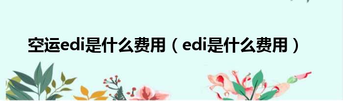 空运edi是什么费用（edi是什么费用）