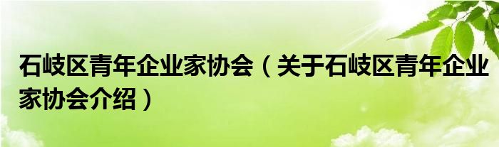  石岐区青年企业家协会（关于石岐区青年企业家协会介绍）