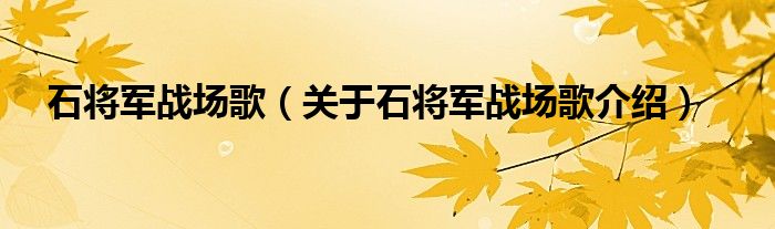  石将军战场歌（关于石将军战场歌介绍）