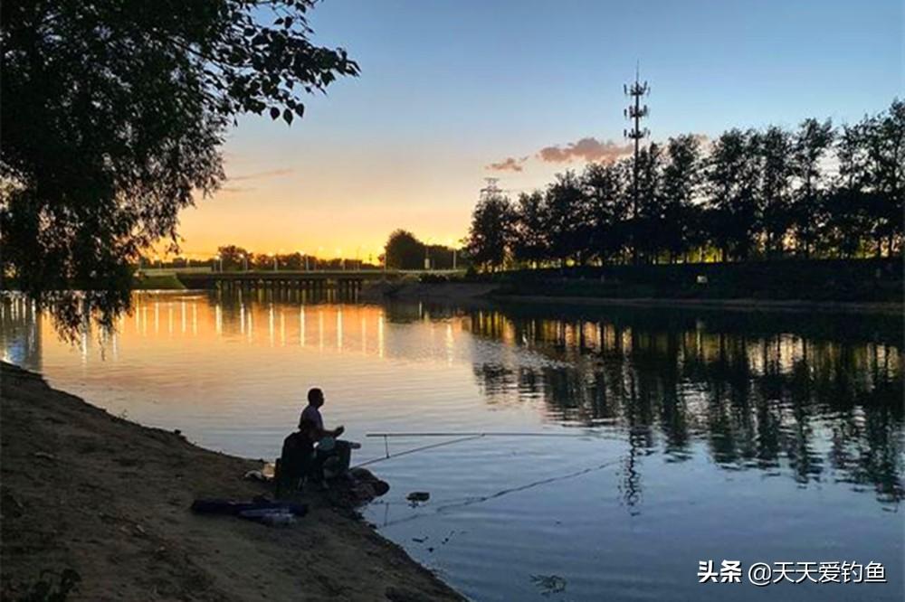 夜钓的技巧钓鱼教你如何夜钓（夜钓钓浮还是钓底）(图3)