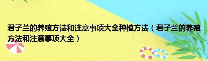 君子兰的养殖方法和注意事项大全种植方法（君子兰的养殖方法和注意事项大全）