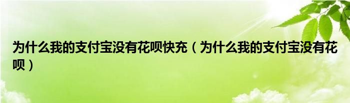 为什么我的支付宝没有花呗快充（为什么我的支付宝没有花呗）