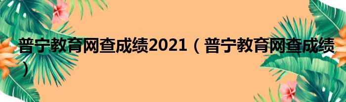 普宁教育网查成绩2021（普宁教育网查成绩）