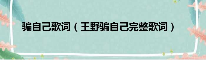 骗自己歌词（王野骗自己完整歌词）