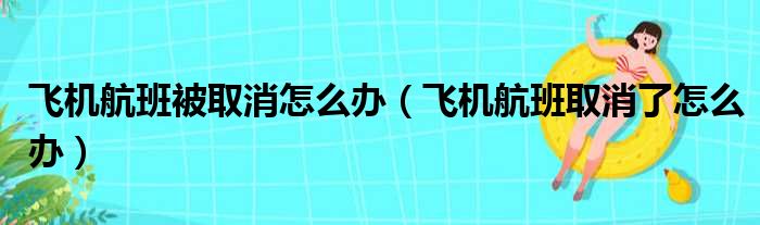 飞机航班被取消怎么办（飞机航班取消了怎么办）